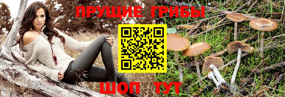 Псилоцибиновые грибы прущие грибы Ишимбай