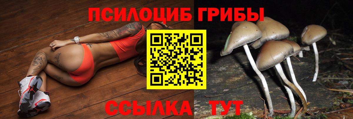 дарнет шоп  Вход с VPN  Ишимбай  Галлюциногенные грибы мухоморы  Галлюциногенные грибы MAGIC MUSHROOMS 
